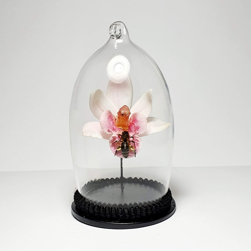 Natuur Historische Decoratie met 18k goud. Honingbij op orchidee